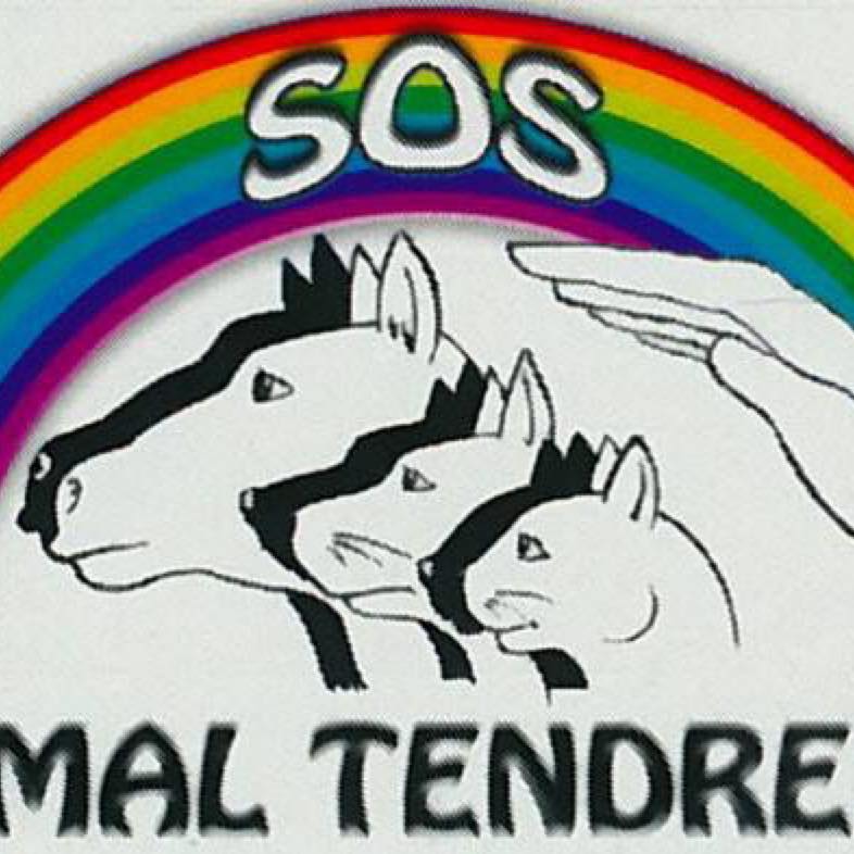 Logo de l'association sos animal tendresse noir sur fond blanc